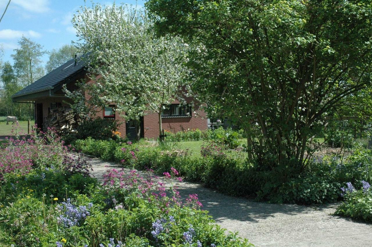 Gastenverblijf Op Het Graveland Zevenhuizen  Zewnętrze zdjęcie